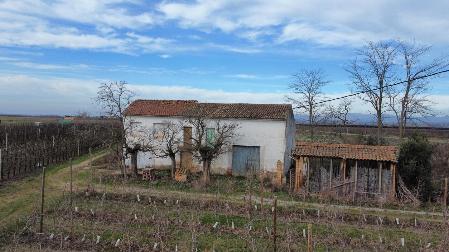 Finca con casa de campo
