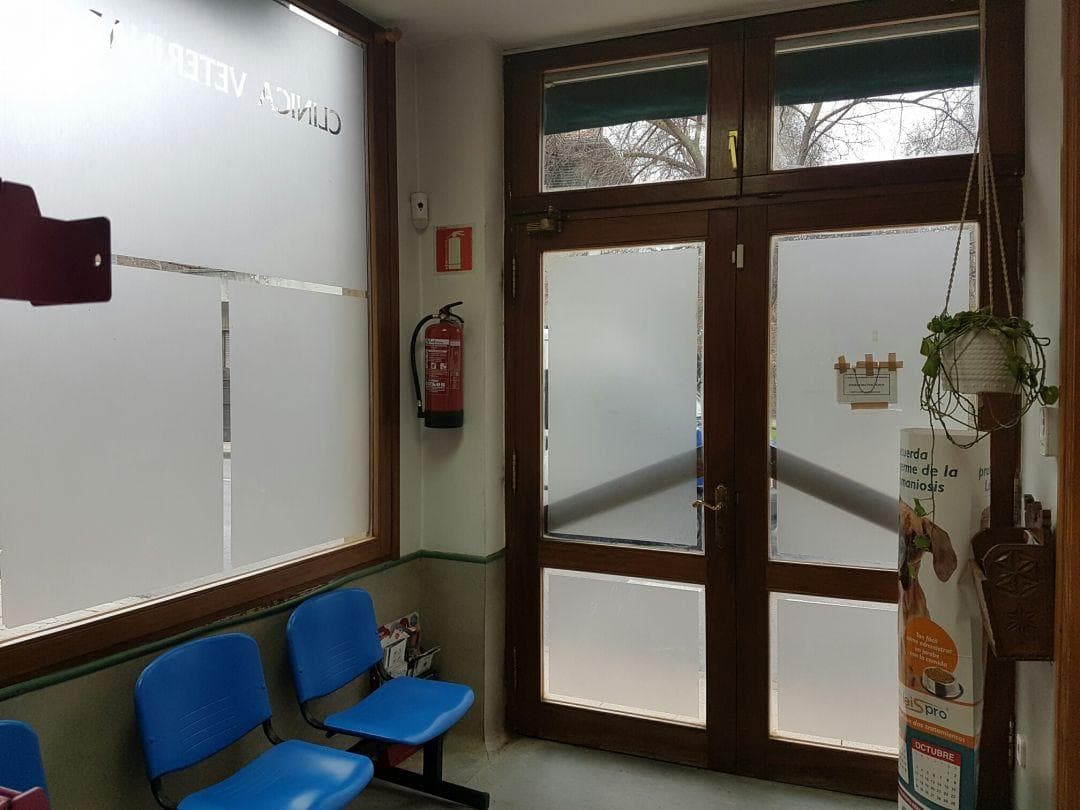 Local comercial esquinero en Estella